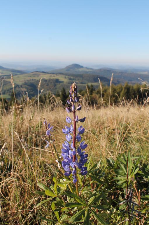 Pension Gasthof Zum Lamm Bischofsheim an der Rhön Esterno foto